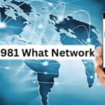 0981 Network