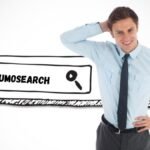 SumoSearch