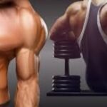 WellHealth: How to Build Muscle